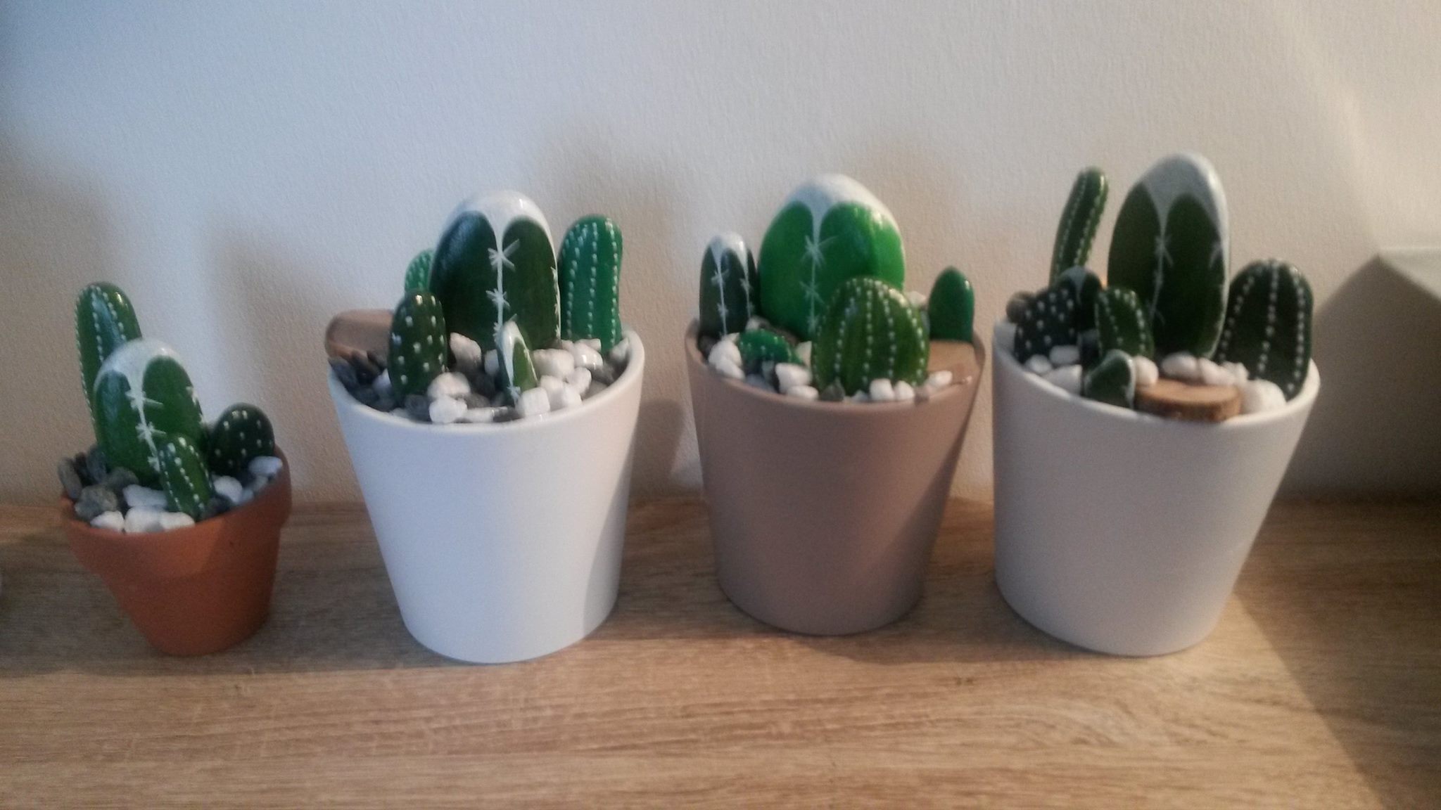 cactus3